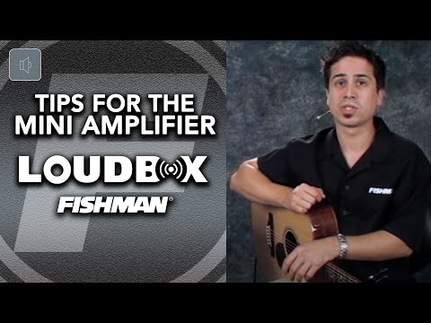 Brand New Fishman Loudbox Mini Acoustic Guitar Amplifier Bild 2