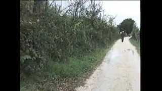 E.Romano in: E' ce ne costa lacrime l'America (parte 1)Regia di F.De Gregorio