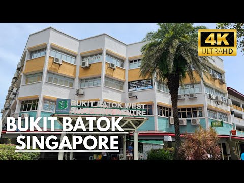 Bukit Batok West Shopping Centre, 156 Bukit Batok Street 11, 870 sqft, Shop / Shophouse For Rent, by Joseph Lim, 500131952 - CommercialGuru.com.sg