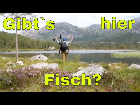 Abgelegener Bergsee in Norwegen.  Gibts hier Fisch???