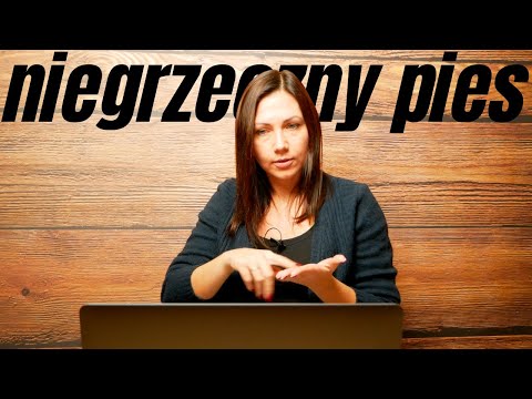 Niegrzeczny pies - co robić? | Zapis Live'a z FB