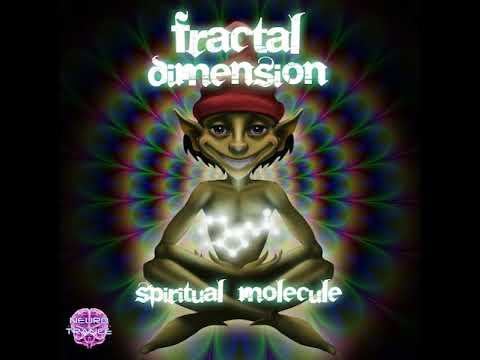 02 Fractal Dimension - EmbriOM