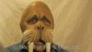 If only this dude could get funky on the baby sax, then the video might be slightly less creepy (but probably not).