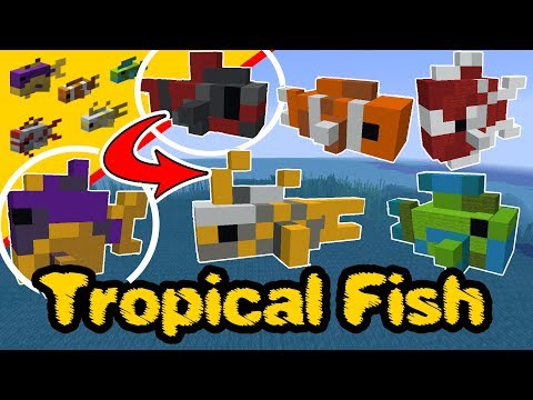 Minecraft tropical fish - Minecraft Statue - Minecraft...