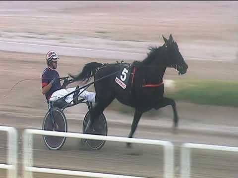 Trotto 30/06/2019 - 2ª corsa