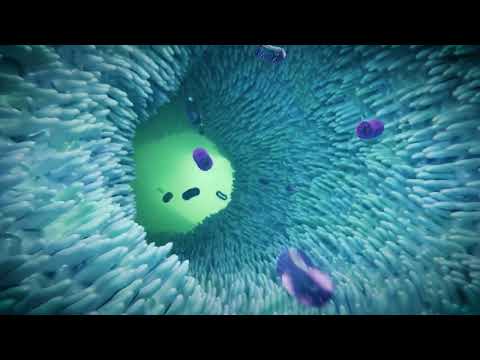 Sensu.health | MOA compilation