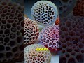 Why Are Some People Afraid of Holes? 🕳️ (The Truth About Trypophobia!)