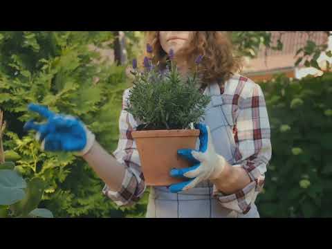 Smart Plant Detector video thumbnail
