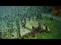 Barney Friends Season 3 Intro