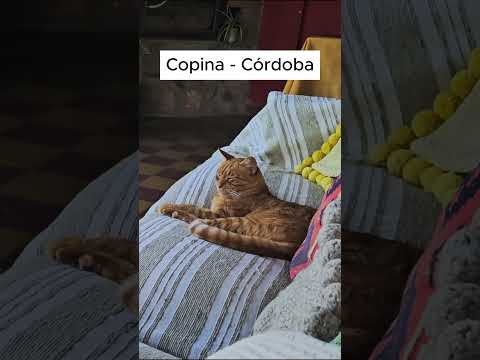 LAS VERTIENTES, No podes irte de COPINA sin pasar por este lugar. #travel #naturaleza #turismo