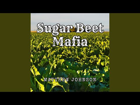 Sugar Beet Mafia