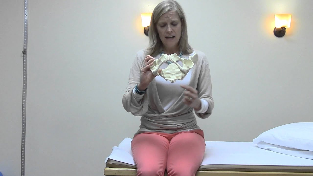 Pelvis Model Labeling