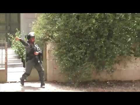 צה"ל הסתיר מהציבור 3,000 אירועי טרור