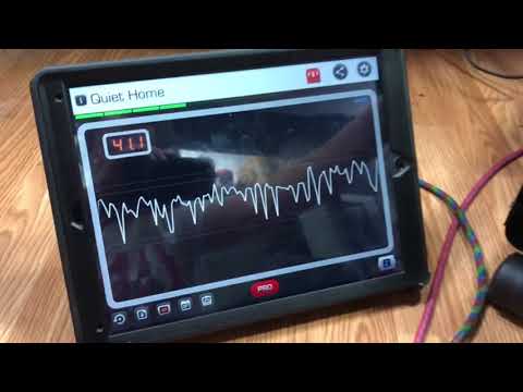 Iwata Hammerhead Shark airbrush compressor review and decibel test