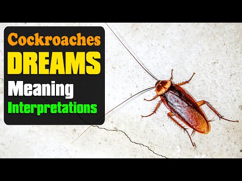 Dream About Roaches or Cockroaches Interpret Now! Dream Meaning