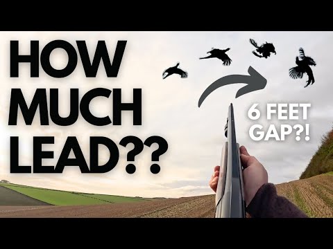 HOW MUCH LEAD?? DRIVEN PHEASANT & PARTRIDGE SHOOTING 🇬🇧