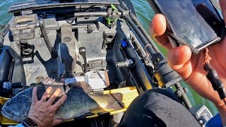 Back at the #1 Bass Fishery (according to Bassmaster)
