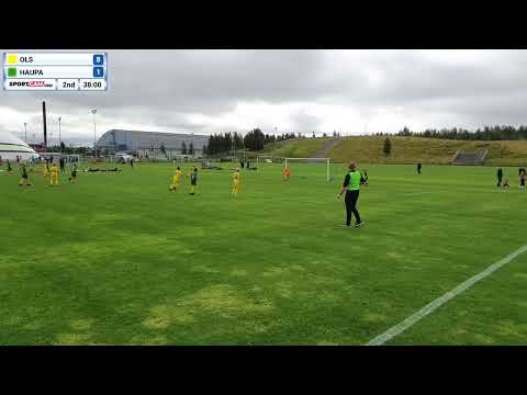 OLS vs HauPa - 31/07/2021