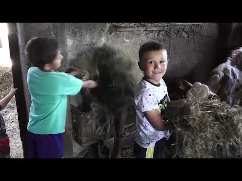 Agro karavan ep.140 - Blace - 06.09.2020.