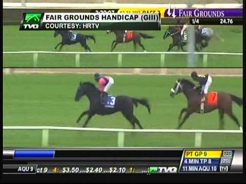 2013 Fair Grounds Handicap - Optimizer