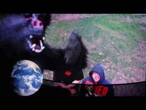 mlodykojot - MOJE MAŁPY ft. uglyassocho, Diffi (prod. Burny, młody klakson, Pimpwu)