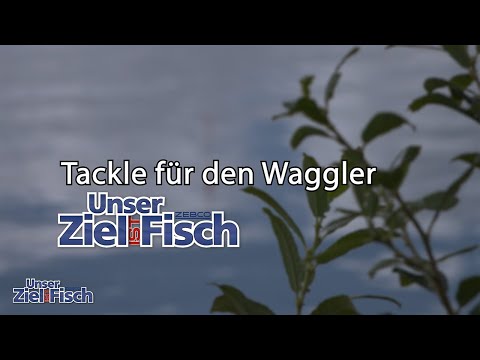 High-end Waggler Combo - Our goal is fish