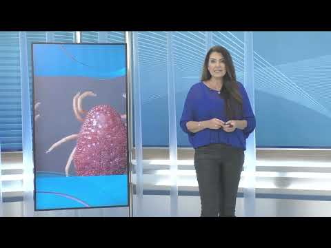 CNT Notícias SP de 24/07/2026 na Íntegra