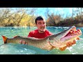 Can I Catch The Fish Of 10 000 Casts