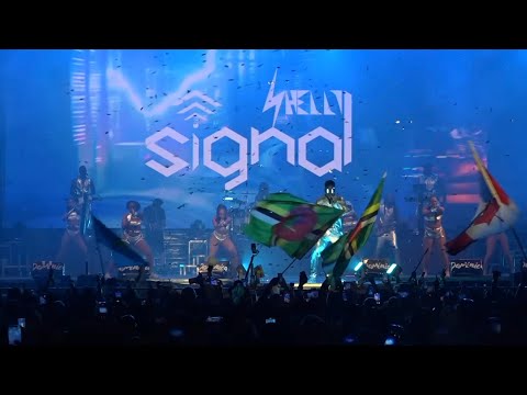Shelly & Signal Band - World Creole Music Festival 2025 [FULL PERFORMANCE VIDEO]