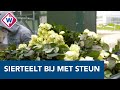 Cultuursector en sierteelt blij met honderden miljoenen van kabinet - OMROEP WEST