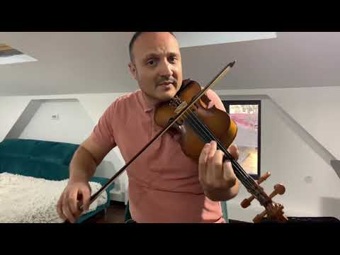 Tutorial -Ramuri de finic