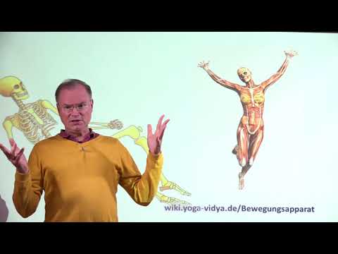 Bewegungsapparat