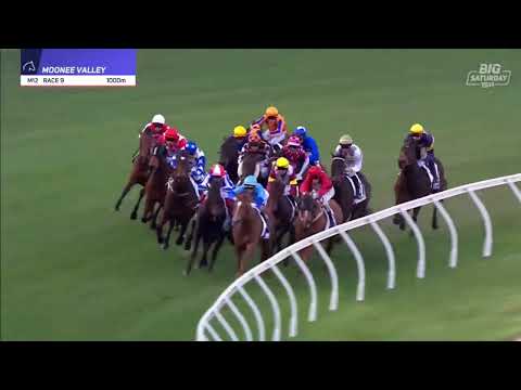 Moir Stakes 2025 - BARAQIEL (3YO+ WFA G1) Group 1 Moonee Valley 6 September
