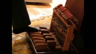Video thumbnail for Andy Cohen Plays the Fotdella  and "San Francisco Bay Blues" by banjojudy