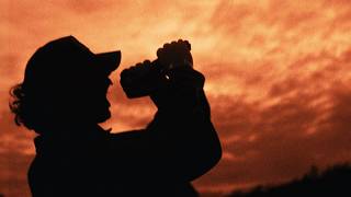 Hesitate - Within Reach