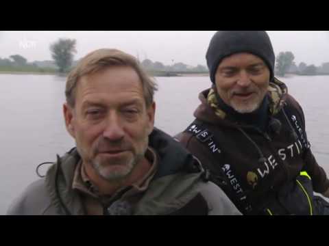 Rute raus, der Spaß beginnt   Mit dem Raubfischweltmeister durch die Niederlande   NDR   Mediathek