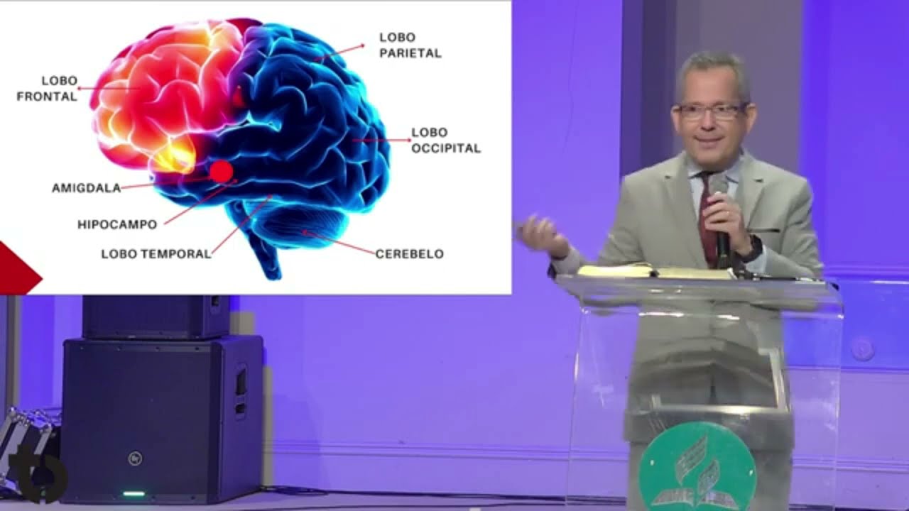 O poder da oração sobre o cérebro