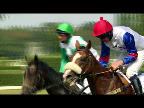 PE, 18. 8. 2018, 2. dostih - Cena za podpory HC DYNAMO PARDUBICE a.s. - Memoriál Zbyňka Kusého