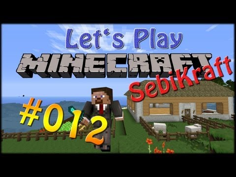 Lets Play Minecraft "SebiKraft" Season 3 - Part #012 - Schönheitsfehler