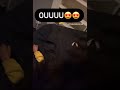 Badkid ju hug Paris while she’s sleep 😂😍😍