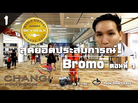 โต้งสำหรับสาวน้อย เชื้อโรคตามธรรมชาติของผู้หญิง
