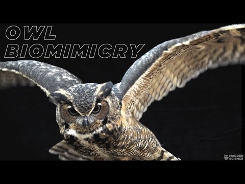 Owl Biomimicry
