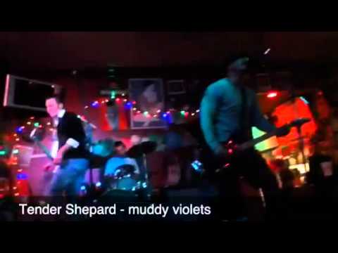 Tender Shepard - Muddy Violets