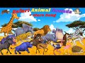 Safari Animal Sounds 13TH9 ABC Animals More Song Kids TV