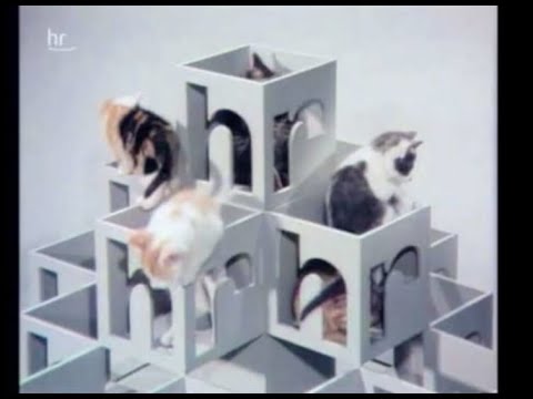 Henry Arland* - Wild Cat Blues (Orig. Audio von LP)