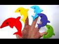 Five Little Dolphin Finger Family Song TOP Nursery Rhymes Collection Songs Video For Children