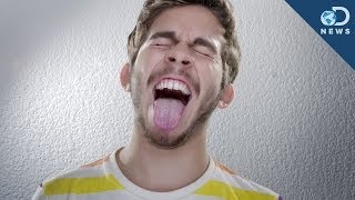 Hardest Tongue Twister in the World!