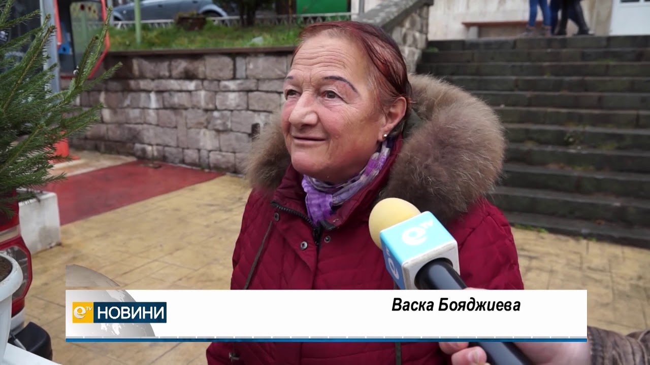 Горските продават живи елхи, по 5 лева от всяка продажба отиват за Фондация "Искам бебе"