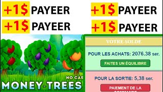 Comment Gagner encore plus d'argent Payeer Gratuitement et Facilement-Money Trees