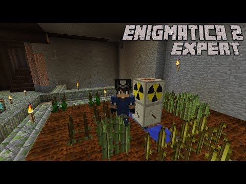 Automatic Rubber and IC2 Crop Crash Course : Enigmatica 2 Expert Lp Ep #19 Minecraft 1.12